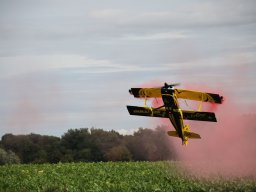 rodenberg2025 74